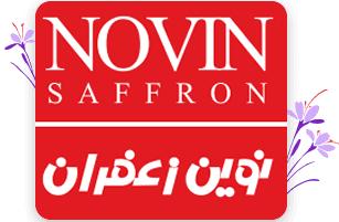 لوگو